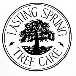 Like weird and wonderful facts about trees? So do we! Lasting Spring are friendly tree surgeons working in and around the lovely Combe Martin.