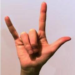 Working together to Create an Online Public and Free Library of Books and Stories in Sign Language.   #DeafLitProject