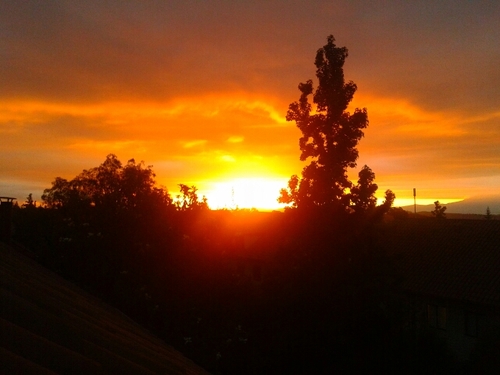 Contiruvi's profile picture. who am I?