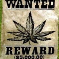 weed_central's profile picture. 