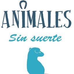 Asociación sin ánimo de lucro para la protección de los animales que lucha por defender sus derechos, para buscarles un hogar y puedan llevar una vida digna