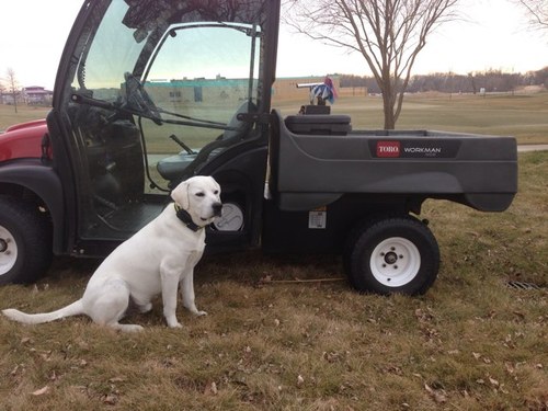 Proud dad, happy husband and loves the outdoors. Southern MN/Southwest WI Commercial Equipment and Toro irrigation Rep for MTI Distributing.