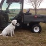 Keyesturf's profile picture. Proud dad, happy husband and loves the outdoors. Southern MN/Southwest WI Commercial Equipment and Toro irrigation Rep for MTI Distributing.