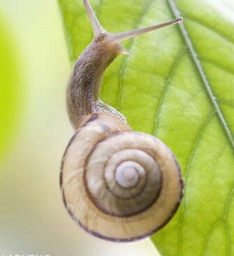 jangbeeya's profile picture. 늘 더불어 함께 같이...