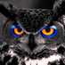 Hugo Castillo (@famili_castillo) Twitter profile photo