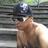pedrinho nunes !!!!!