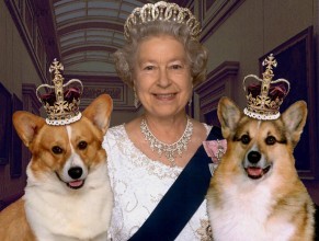 We are the royal corgis. We love our life at buckingham palace. We love to nap in our baskets and run along the property together and with the other dogs! LLTQ!