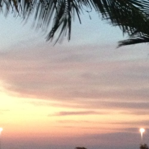 lujainft's profile picture. 