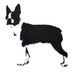 teddybaden (@teddybaden) Twitter profile photo