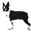 teddybaden's profile image