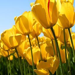 providing nanny services and childcare to western australia