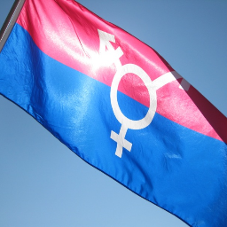 Trans_Community's profile picture. 
