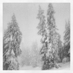 andredesroches's profile picture. 