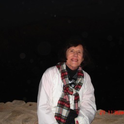 diabob17's profile picture. 