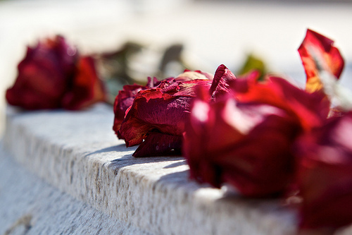 dyingtotalk's profile picture. A project exploring the changing attitudes towards death and end of life planning. Combining a range of resources to encourage open conversations about death.