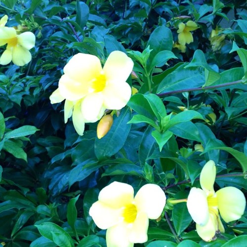 allkidsgarden's profile picture. 総合子育て支援施設