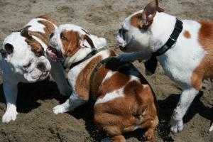 mootube's profile picture. 