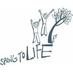 Spring to Life CIC (@springtolifecic) Twitter profile photo