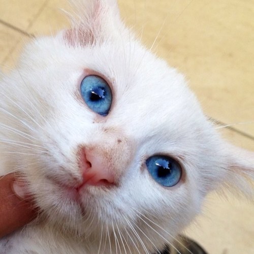 BillStavrou's profile picture. 