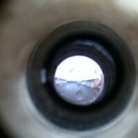 Silviasass (@sassone_silvia) 's Twitter Profile