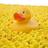 CircuitDuck's profile image