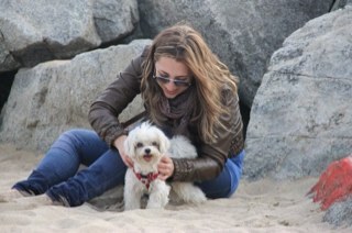 visitasguiadas_'s profile picture. 