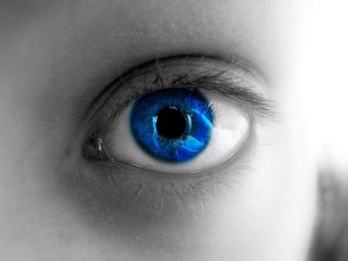 David Goering Profile