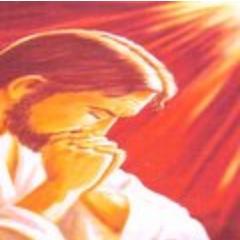 EvandroUniverso's profile picture. 