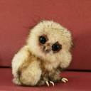 flora baldwin - @florabaldwin11 - Twitter