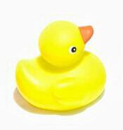 me_7g's profile picture. 2019.10.1再スタート/167cm 75.6kgからのダイエット/アニメ ダンベル何キロ持てる？に触発されてジム通います！