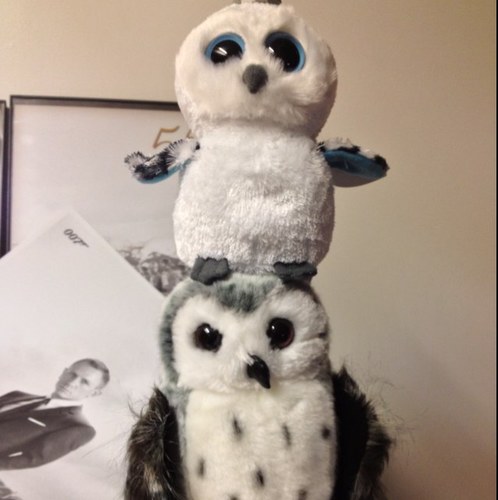 ccaynoski's profile picture. Probably just lurk on this one might make a posting account