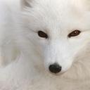 Esther Arango Mariel - @ArangoGat - Twitter