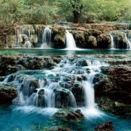 ELY64786284's profile picture. 