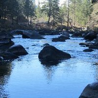 Ahmed Alharbi (@loyal_forever) 's Twitter Profile