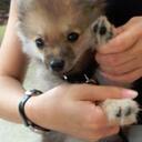 Alexia Williams - @xCrystal11x - Twitter