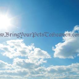 Our heavenly kit will bring your pet to heaven!