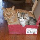 Chris Riva - @RivaWi - Twitter