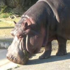 …好きなもの、気になった事を時々つぶやきます。