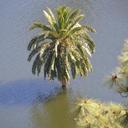 .María Roden - @MaraRoden1 - Twitter