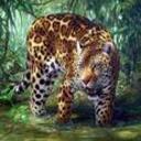 Edgar Parra - @EParra3003 - Twitter