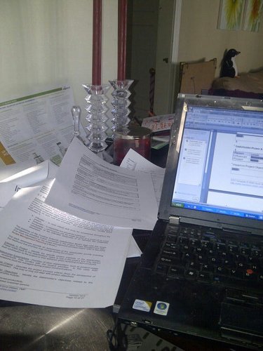 HealthyCleanser's profile picture. Busy Mom of 18 yr son. +  9 year  old girl.. Great job, continuing ed. and getting healthy. Ask me about the amazing products that shed  over 20 lbs in 30 days!