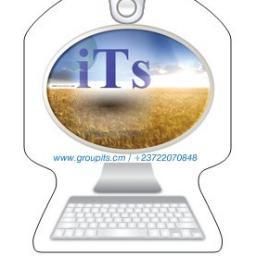 belltver's profile picture. 