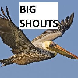 Big_Shouts's profile picture. 