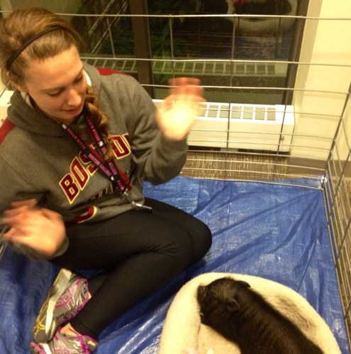 OliviaGuyon's profile picture. 