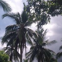 Riki Tik (@riki_tik) 's Twitter Profile