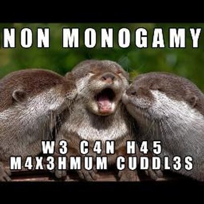 Téléchargement gratuit Images Nonmonogamemes Nonmonogamemes Twitter actualisé salutations