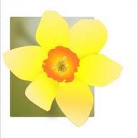 Ceri Ward Jones (@ceriwardjones) 's Twitter Profile