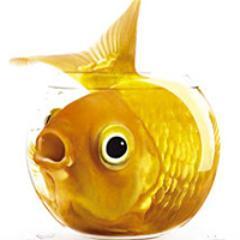 Всё о рыбе и рыбалке (All about fish and fishing)