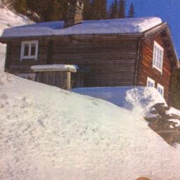 BiladalIslam's profile picture. Berber. Fra Marrakech. Lever et beduin liv i Sahara. Lite social demokratisk anlagt,tror på et liv etter døden,om Allah tar over. Slavehandler.