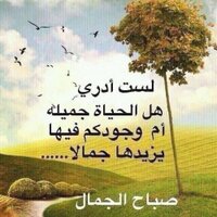 pasim (@pasimkh) 's Twitter Profile